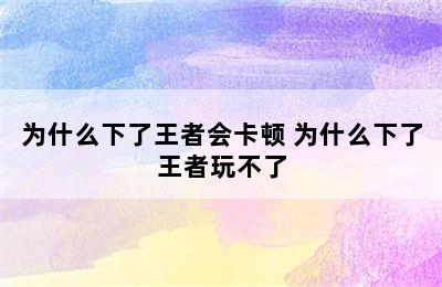 为什么下了王者会卡顿 为什么下了王者玩不了